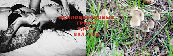 спайс Абаза