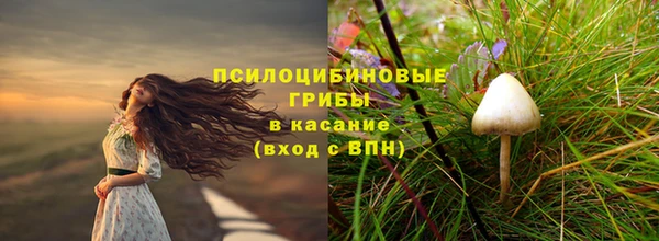 спайс Абаза