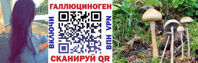 Псилоцибиновые грибы MAGIC MUSHROOMS Шилка